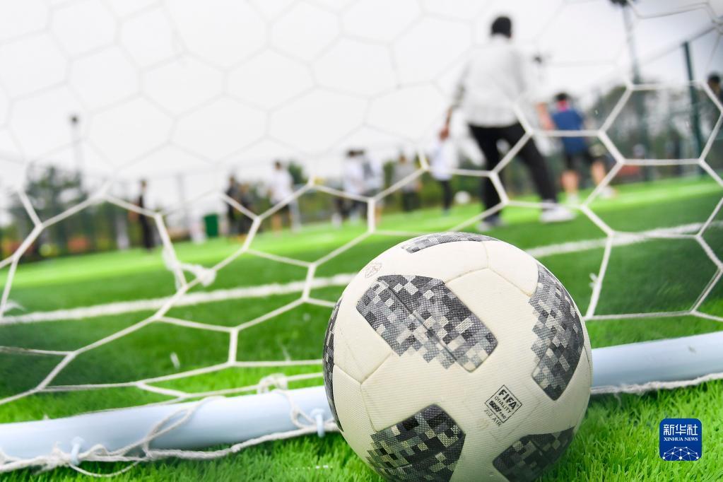 这一选择可 这一选择可